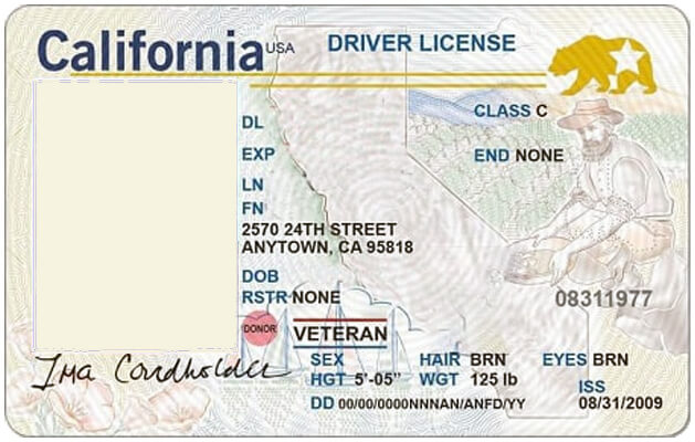 California Driver's License