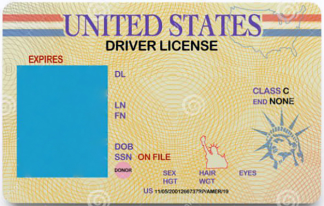US Driver's License